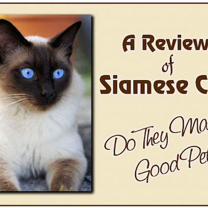 Related Review Image