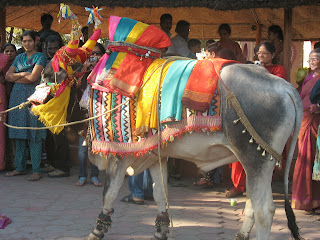 makar sankranti