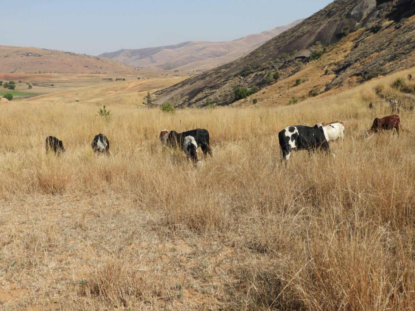 Tsaranoro valley - Madagascar