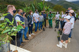 Mutirão para plantio de árvores é realizado pela equipe do projeto, servidores municipais e moradores dos Lúcios