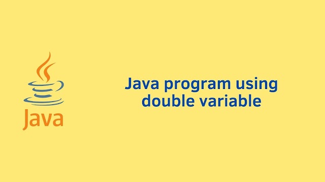 Java program using double variable