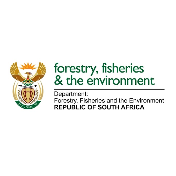 Department of Forestry and Fisheries : Internships
