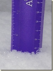 Snow inches