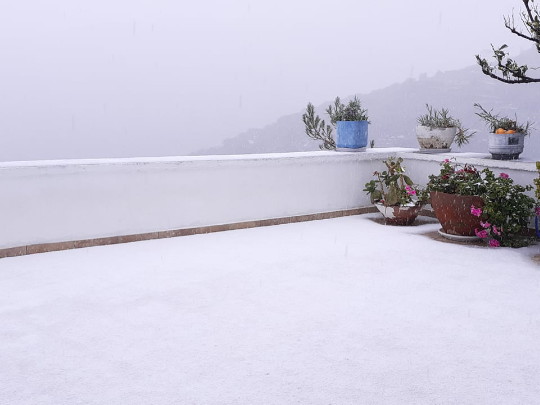 Μαρτιάτικο χιόνι στη Λαρδιά στο Κόρθι