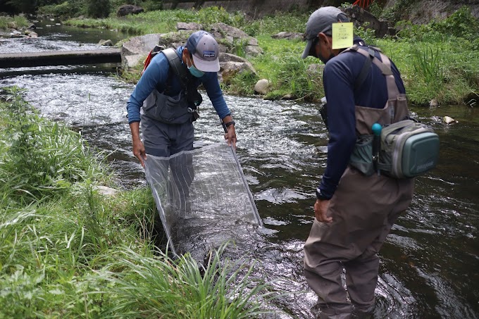 第4回ベントス調査in湯原温泉