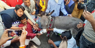 पेट्रोल डीजल मूल्य वृद्धि के विरोध में जिला युवा कांग्रेस ने किया विरोध प्रदर्शन