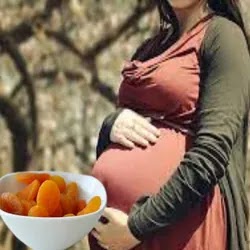 apricots in pregnancy. Pictures of pregnant woman with a bowl of apricots