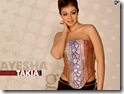 Ayesha takia 1024x768 (2)