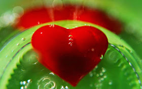 valentine-love-heart-superb-hd-pic