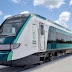El Tren Maya ha derribado más de 10 millones de árboles en sureste de México.