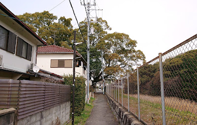 澤田八幡神社(藤井寺市)