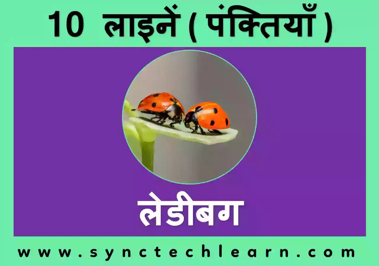 10 Lines On Ladybug In Hindi