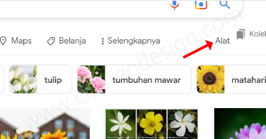 Cara Download Gambar Tanpa Hak Cipta (No Copyright) di Google