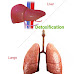  Detoxify your lungs & liver Naturally🌿🍀