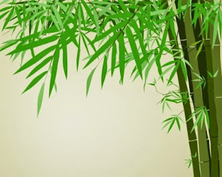 Di dalam daun bambu terdapat kandungan asam amino, vitamin, klorofil, flavonoid, polisakarida dan lain sebagainya, sehingga mempunyai banyak manfaat bagi