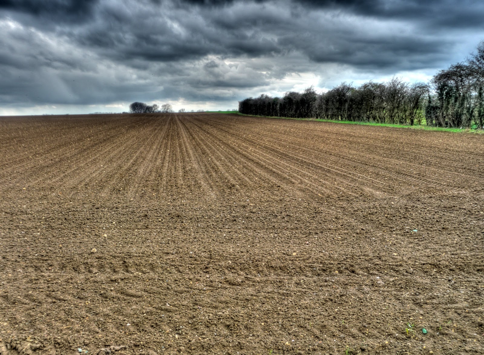P1060508_09_10_11_12_13_14_tonemapped.JPG