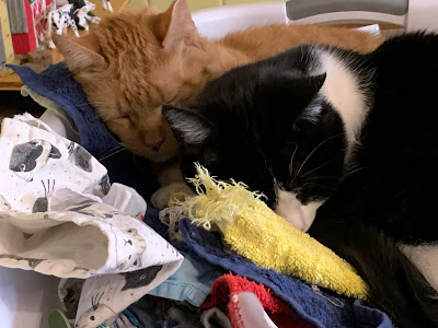 two cats sleeping in basket of laundry