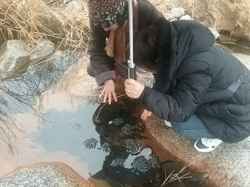 지리산 구룡계곡 북방산개구리, 올해 2월 19일 첫 산란 관측