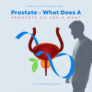 Prostate - What Does A Prostate Do For A Man?