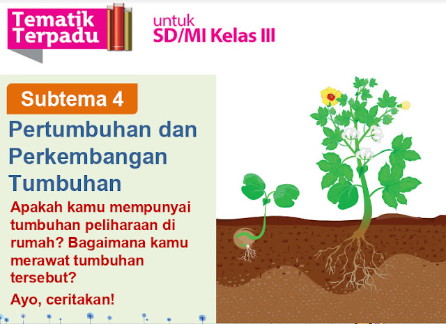 Download Power Point Tematik Terpadu Kelas  Guru K13: Download Power Point Tematik Terpadu Kelas 3 Tema  1 Subtema 4 Pembelajaran 1 Tahun 2019/2020