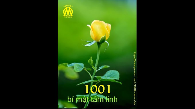 1001 Bí Mật Tâm Linh (0005) Thoải mái là đúng