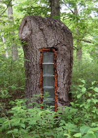  Beauty of Tree Houses