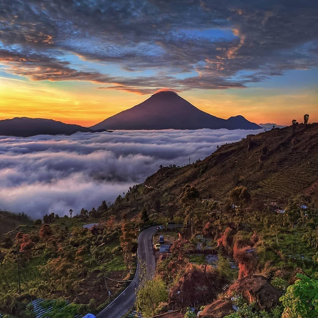 Bukit Awan Sikapuk Wonosobo Jawa Tengah