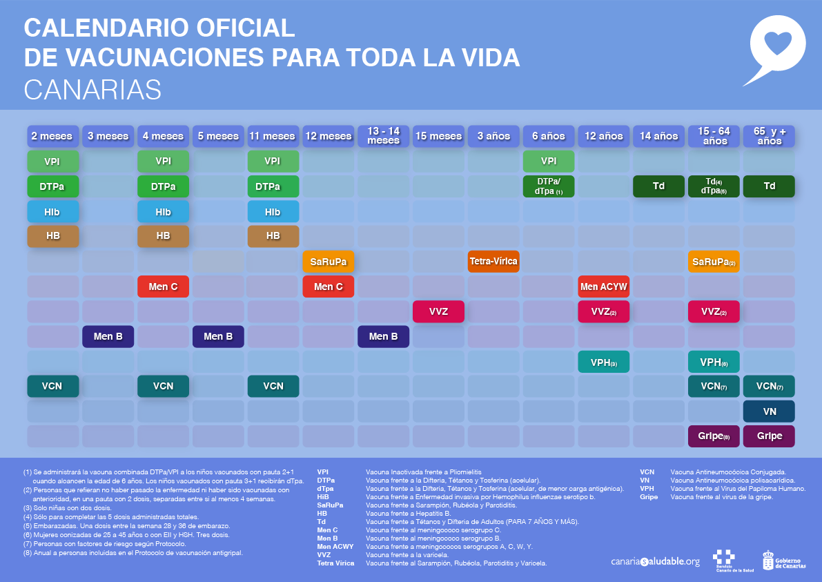 ¿Que es AMP? Páginas móviles aceleradas