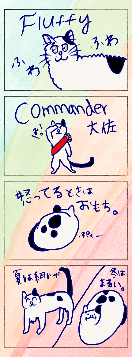 うちの猫の紹介