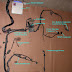 Nissan 240sx Ecu Wiring Diagram Hecho