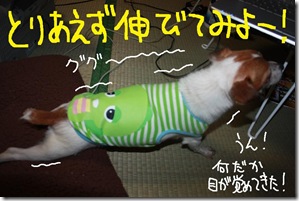 今日カズ１００４０８　７