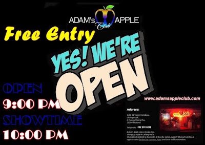 Showtime Adams Apple Club Gay Bar Chiang Mai Thailand