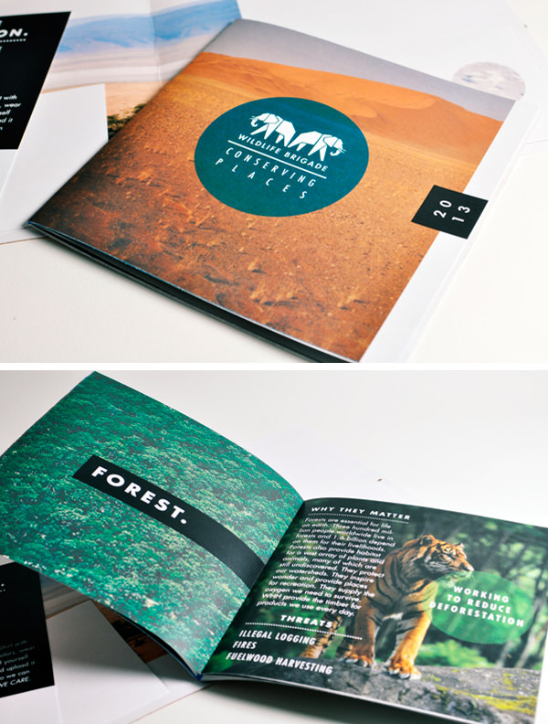 60 Best Creative Brochure  Design  for Inspiration  Bull Share