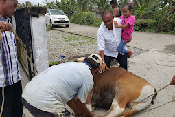 PT Lintas Papua Permai Bagikan Daging Kurban di SP 6