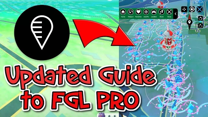 FLG PRO ACTUALIZADO  2019