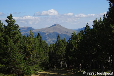 El Puigmal des del collet de les Barraques