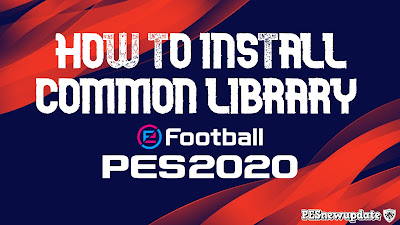 How to Install Common Library PES 2020