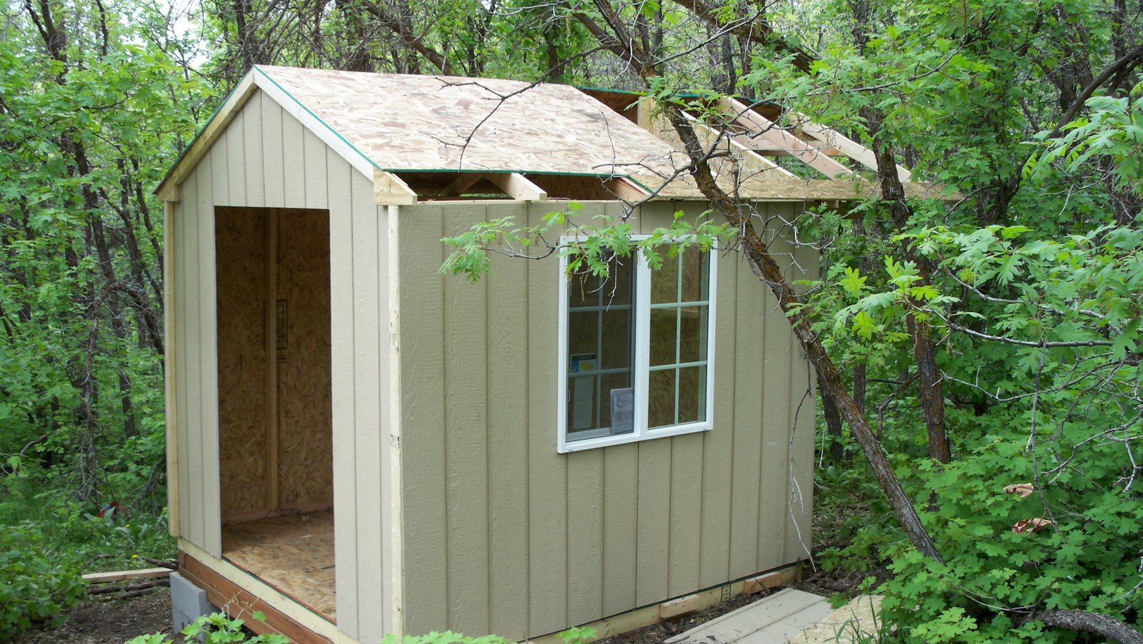 cheap shed roof ideas
