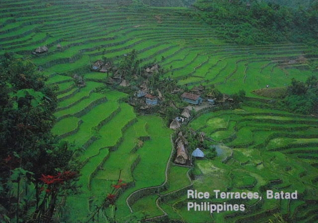 Batad Rice Terraces postcard