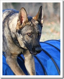 2010.11.20 Brita.Jake.Sierra-57a