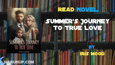 Summer's Journey To True Love Novel