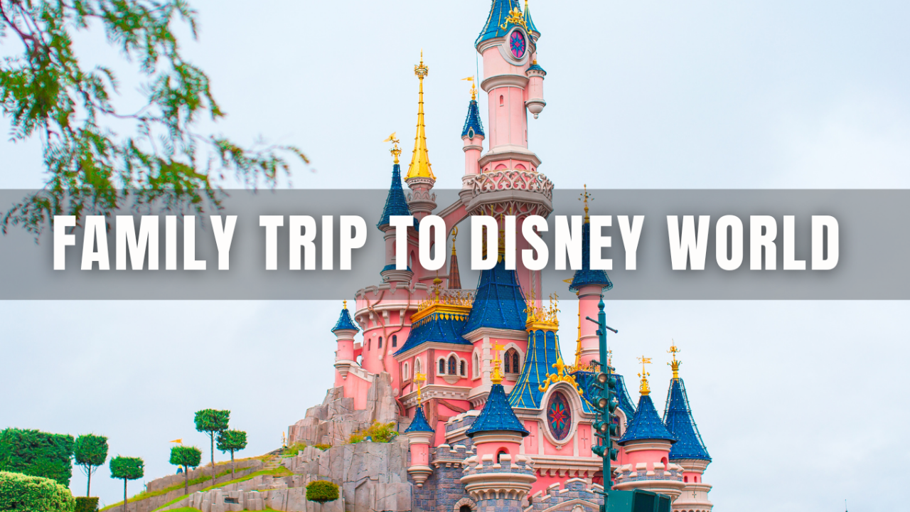 Family Trip to Disney World