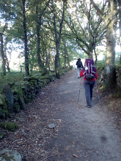 Caminantes