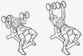 Dumbbell bench press (flat, incline and decline)