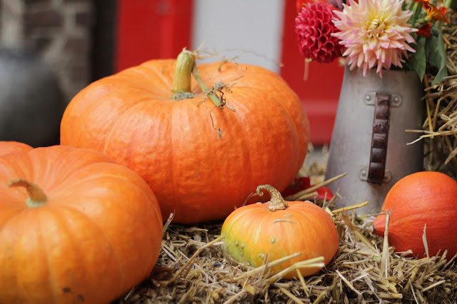 pumpkin, doll, handmade, belgium, fall, handmade, 2016