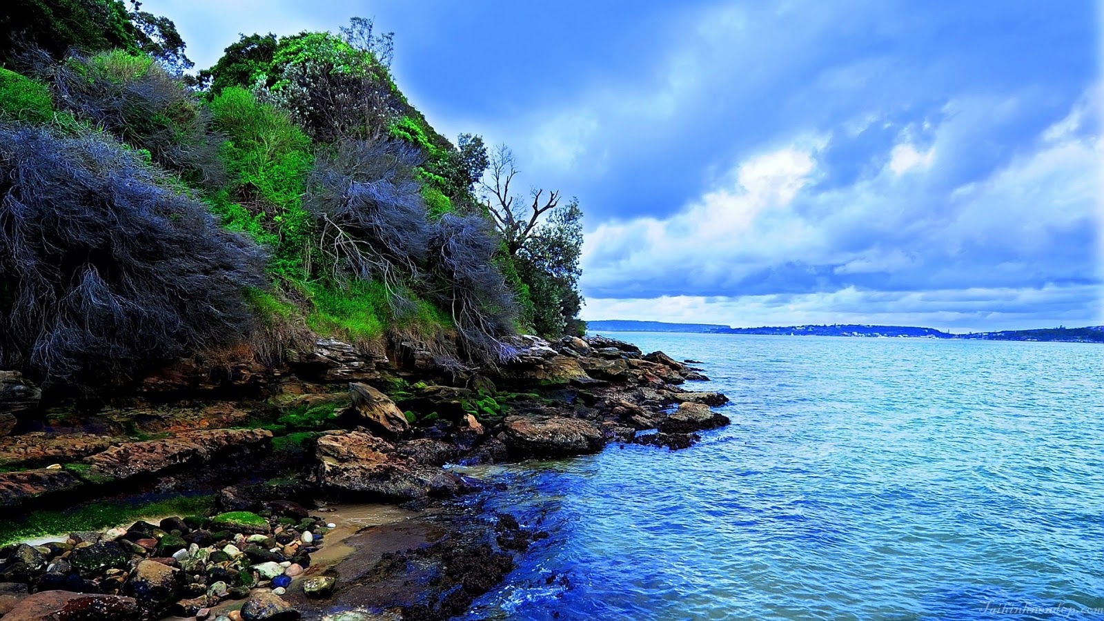 hinh nen tinh yeu de thuong hinh nen tinh yeu