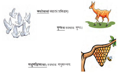 Abhyasvan Bhav Class 9 Solutions Chapter 6 कारकोपपदविभक्तिः