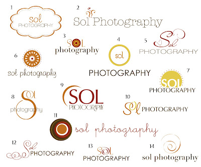 Corporate Logo Design on Polish Logo Design  Sol Photography Logo Concepts