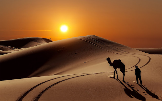 Sun Desert With Camel and People