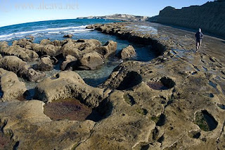 Restingas,Nature and adventure at every step in Patagonia Argentina